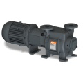 Водокольцевой вакуумный насос Busch Dolphin LM 0100 A