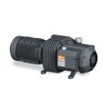 Вакуумный насос Busch Seco SD 1063 B